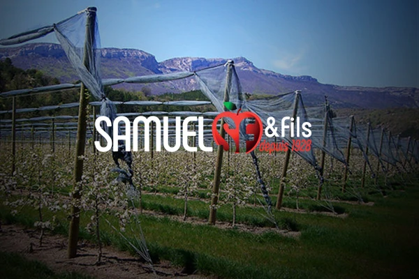 Samuel & Fils